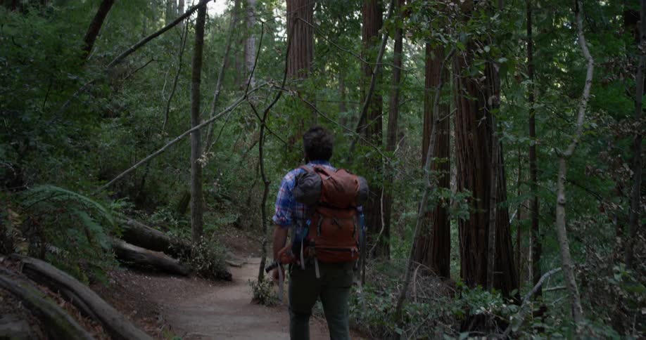 Man wearing a backpack hikes through the woods on a small path
