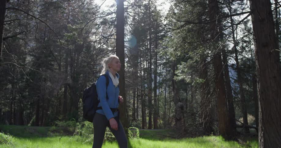 A woman hikes alone in a forest
