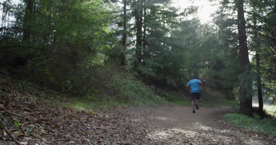 Runner In Forest