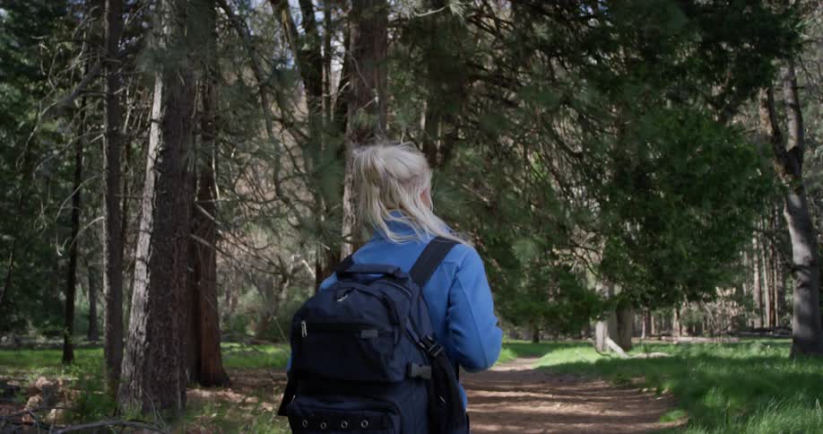 Woman Hiking In Nature