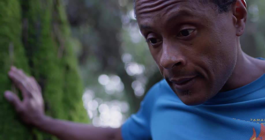 A man stops to catch his breath in a forest