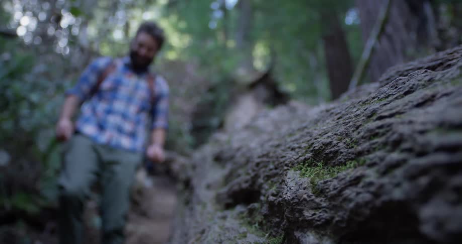 A hiker walks over a fallen tree and almost falls