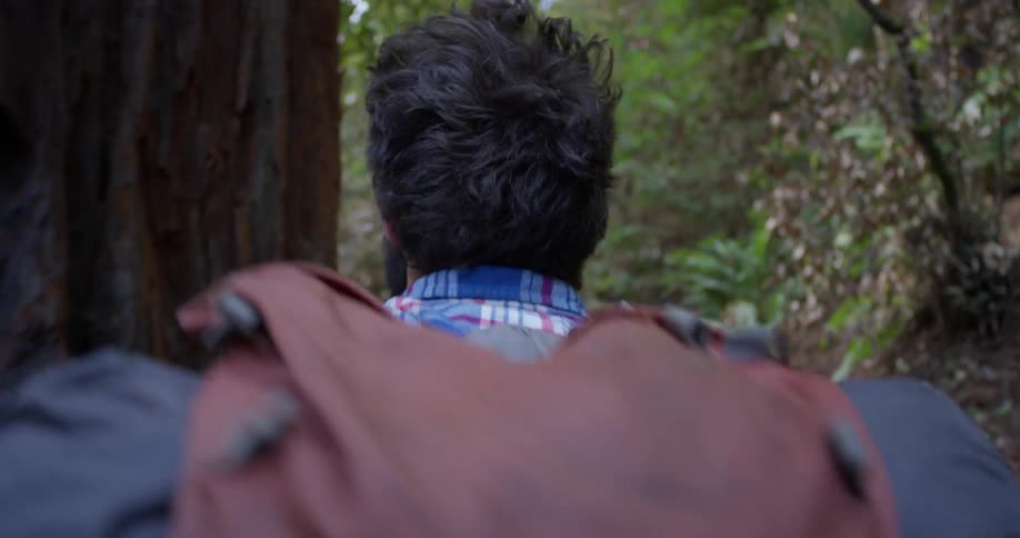A hiker walks on a path in the woods