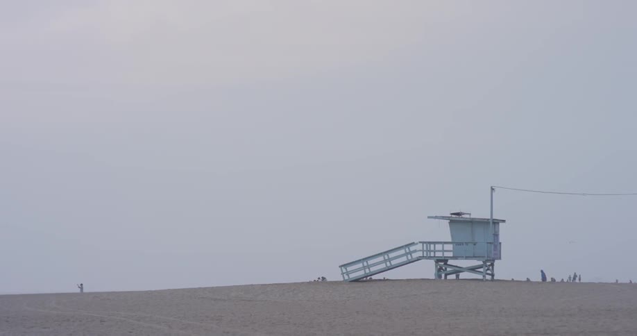 Venice Beach Scenics
