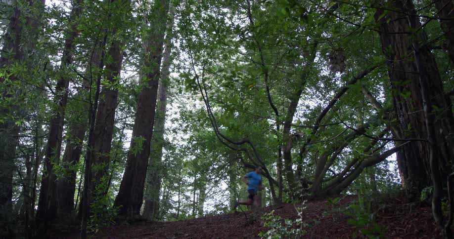 A man jogs in a forest