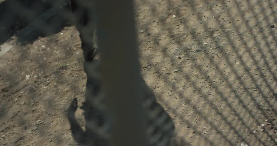 A person is giving off a shadow behind the fence