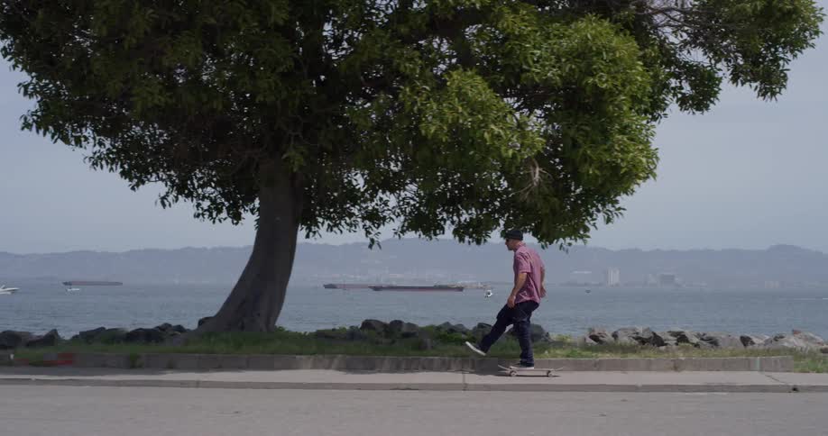 A skateboarder is riding on a sidewalk along a bay on a sunny day
