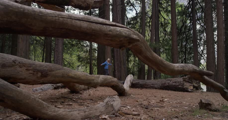 Woman Hiking In Nature