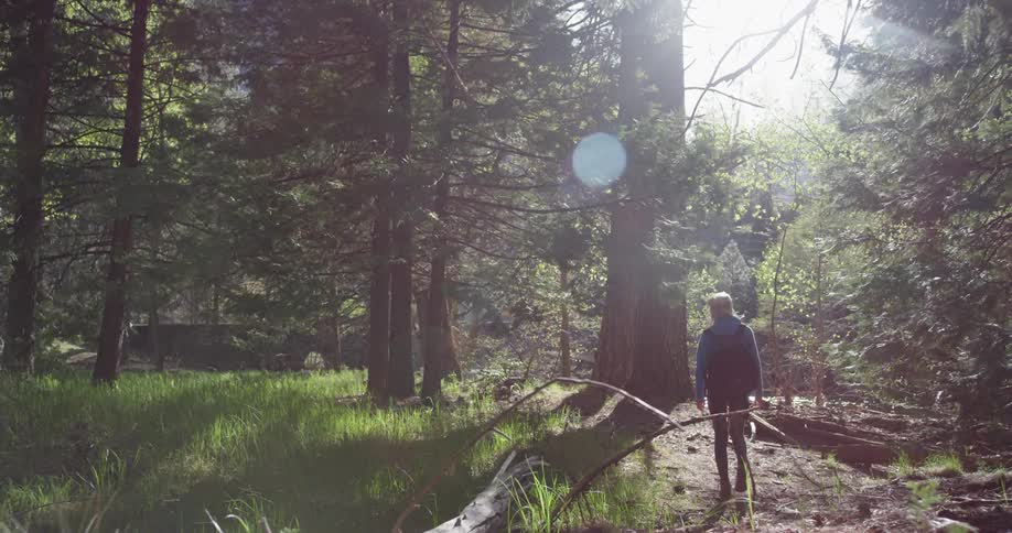 A woman with a large backpack hikes in the woods