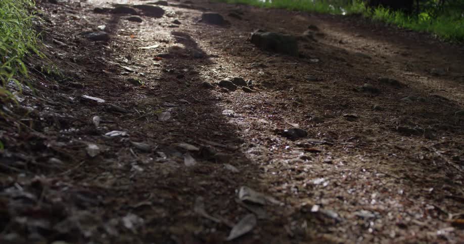 A man jogs on a dirt trail
