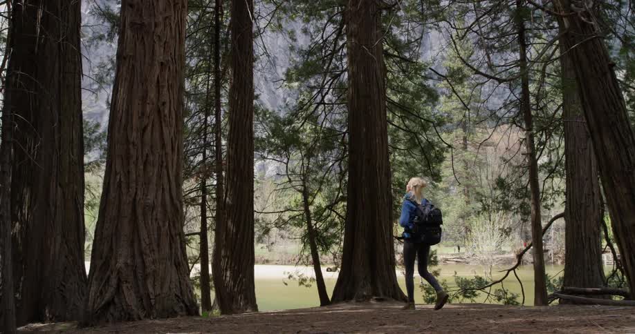 A woman hikes alone in a forest