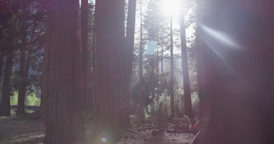 A woman hikes in the forest with a large backpack