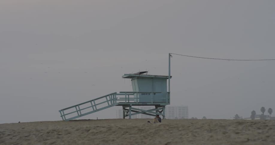 Birds fly over the lifeguard stand
