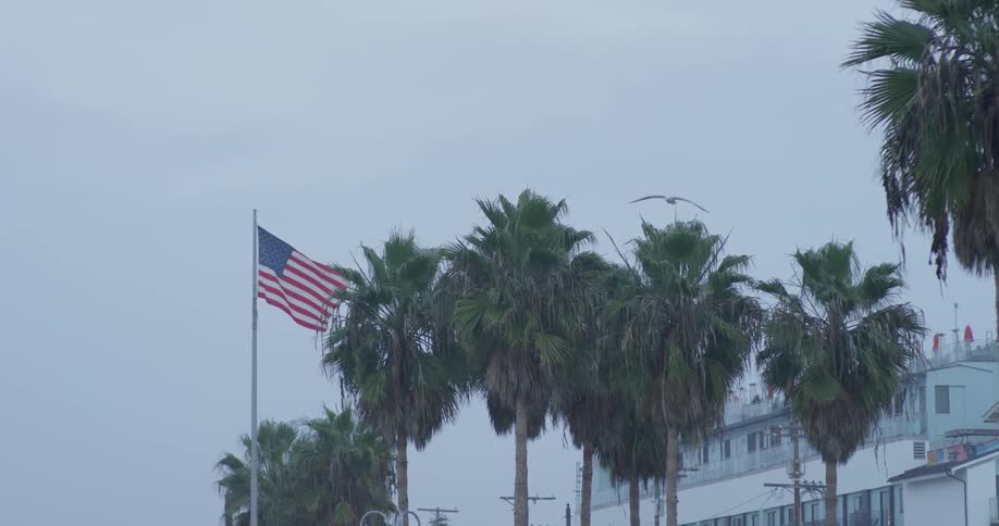 An american flag stands next to palm trees