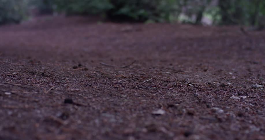 The person jogs down the trail in the woods