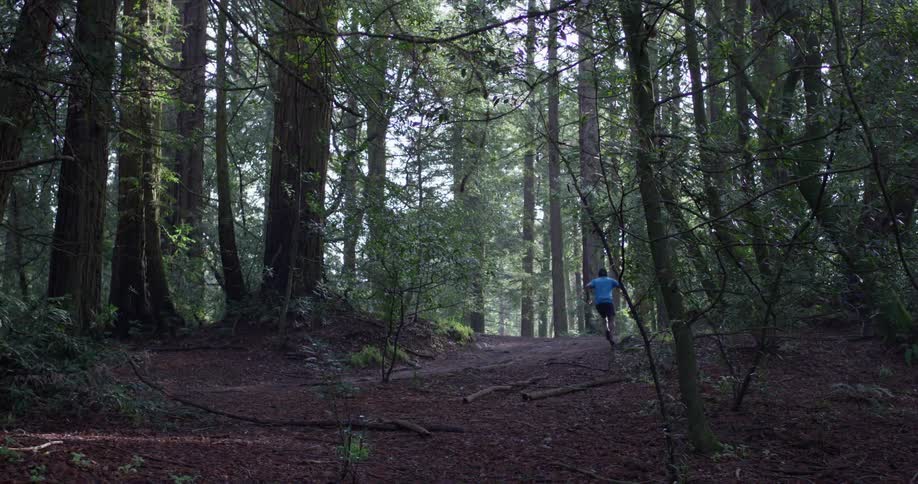 Runner In Forest
