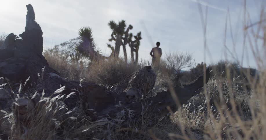 A woman walks alone in a desert