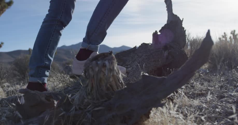 A woman steps on a fallen tree in a desert