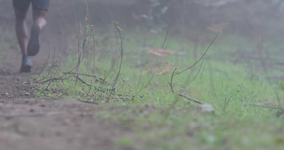 Runner In Forest