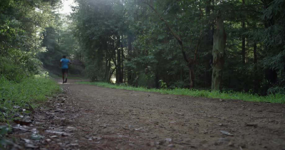A man runs on the trail near the woods