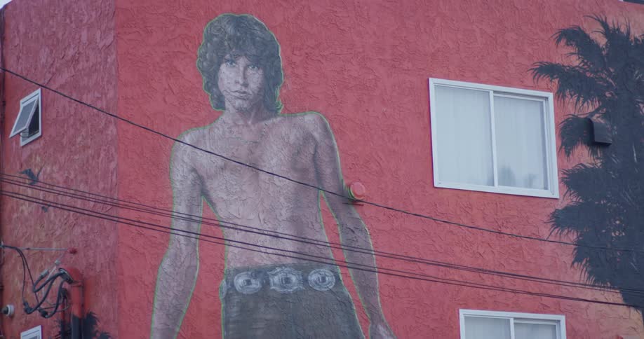 Venice Beach Scenics