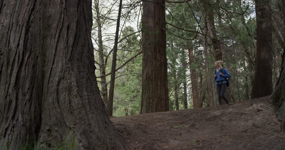 A woman walks on a dirt trail in the forest