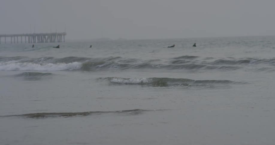 Several people stand in the ocean letting the waves wash over them