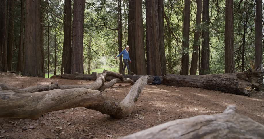 Woman is walking on fallen log in forest