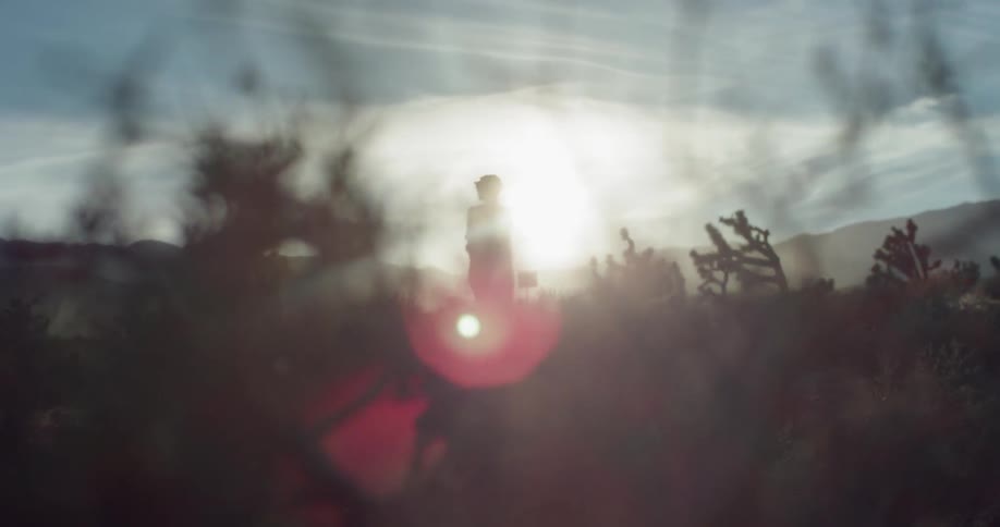 Woman walks through the desert on a sunny day