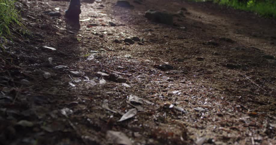 Person is jogging outdoors on shady dirt trail