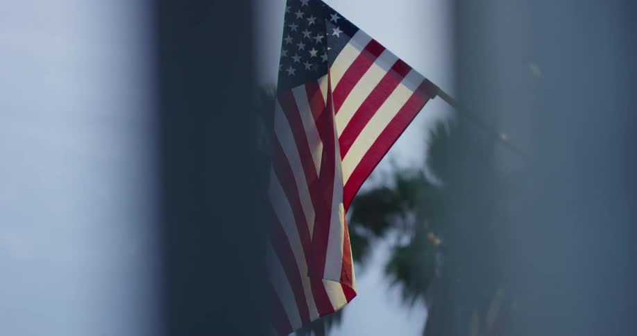 The bird flies past the flag