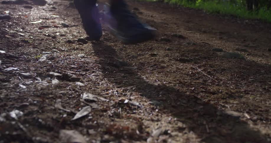 Runner In Forest