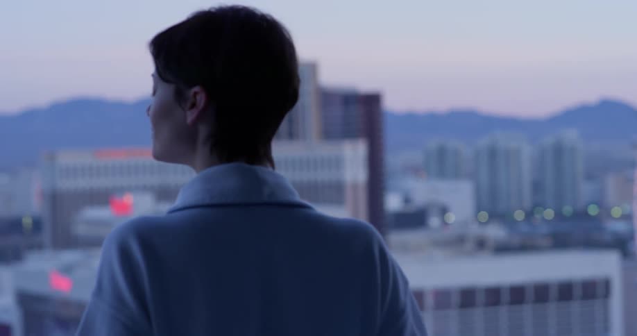 A woman is watching the city at sunset