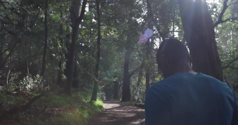 Man walks on a path through the woods on a sunny day