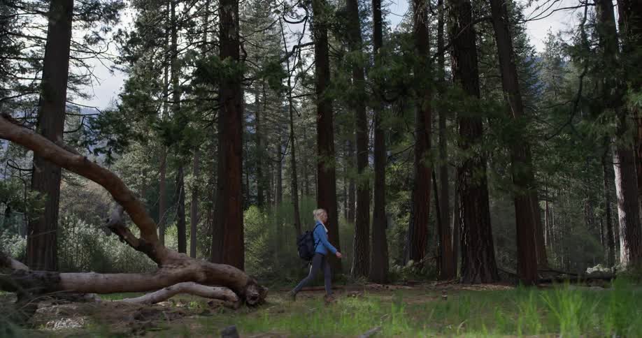 Woman Hiking In Nature