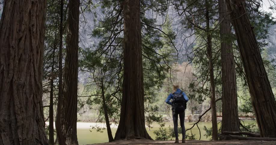 A woman is hiking toward a lake in a natural setting in daylight