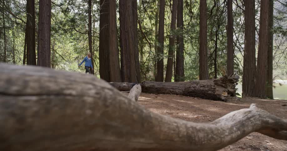 Woman is walking on fallen logs in the woods