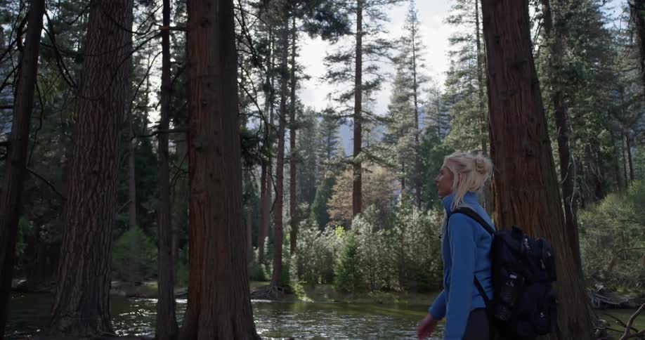 A woman hikes alone in a forest