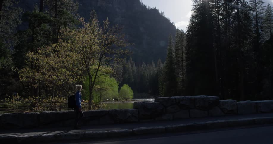 Woman walks on a sidewalk near tall trees on a sunny day