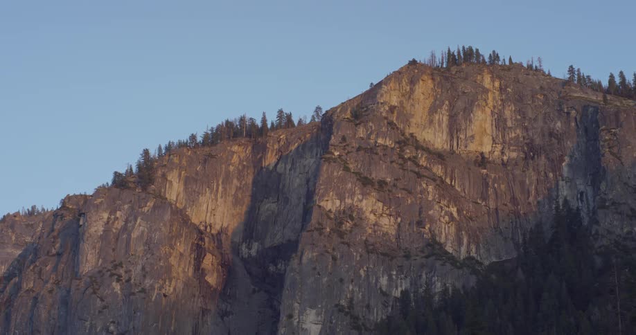 Pine trees grow on a cliff in the wilderness