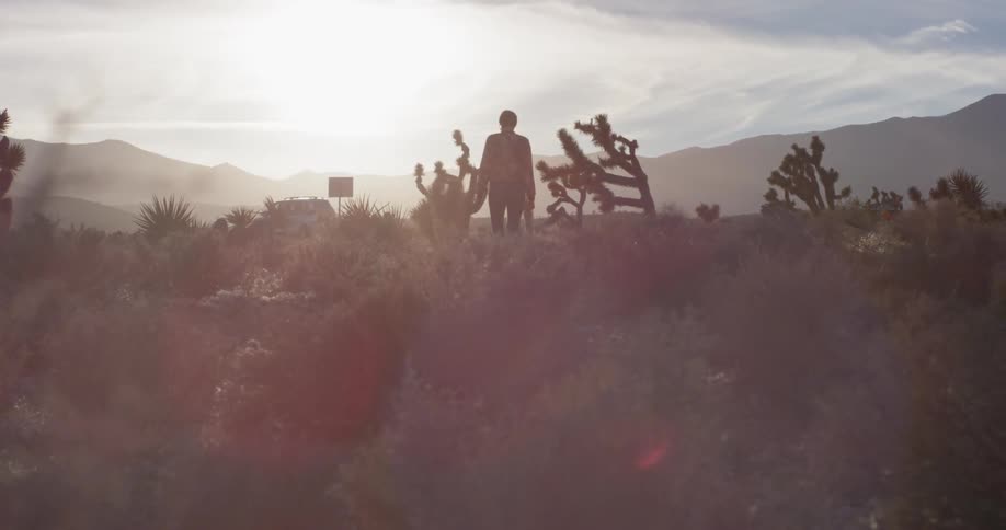 A woman walks in a desert on a sunny day