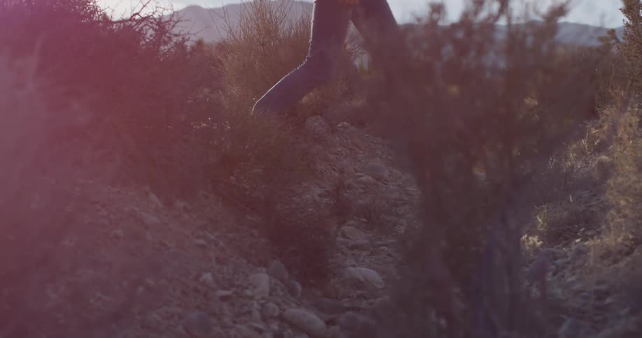 A woman walks alone in a desert at sunset