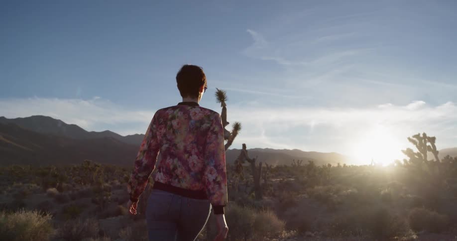 A woman walks alone in a desert at sunset