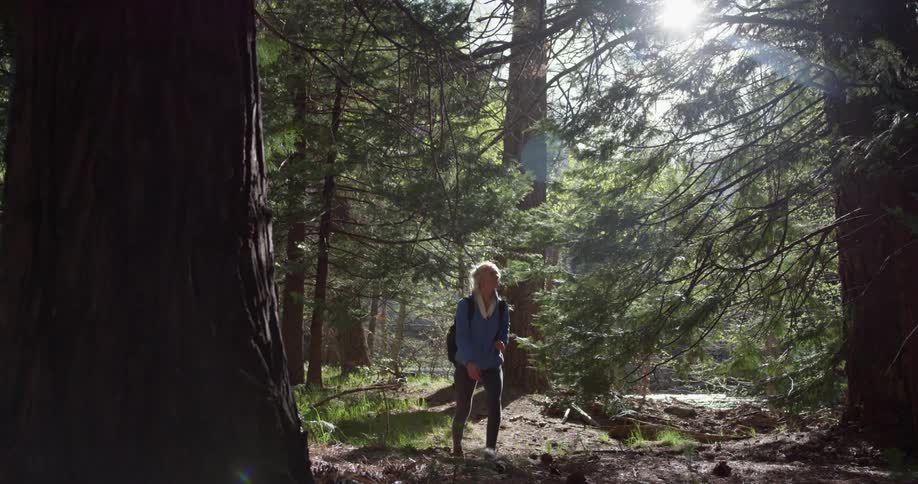 Woman walks through the woods on a sunny day