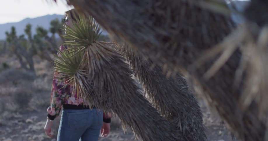 A woman walks alone in a desert