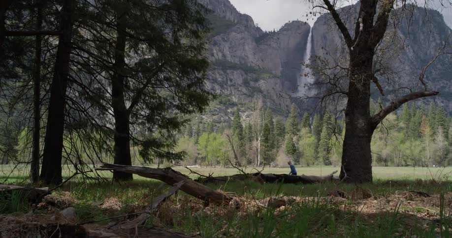 Person walks through the woods near a tall mountain and waterfall