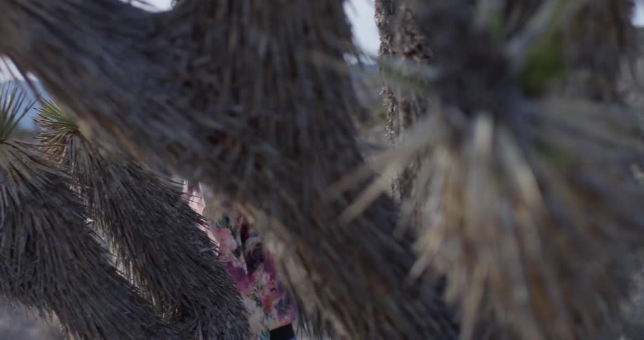 A woman walks by plants in a desert