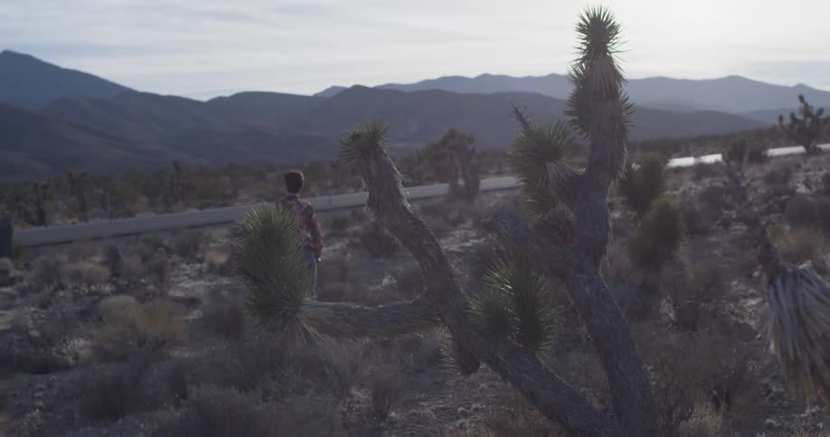 Woman walks through the desert on a sunny day
