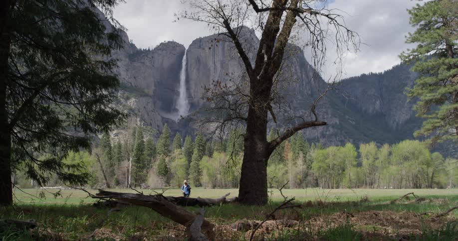 Woman Hiking In Nature