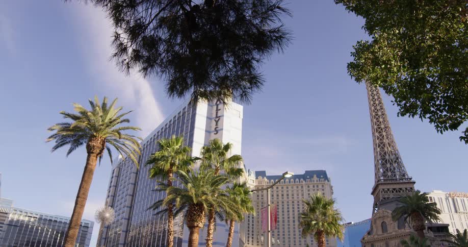 Palm trees stand in front of hotels